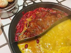 -朱光玉火锅馆(正弘城店)