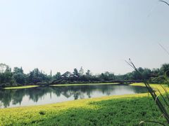 -桤木河湿地公园