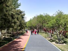 -大兴滨河森林公园