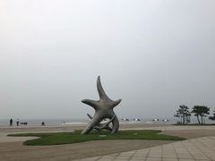 -渡海小渔村.老辈日照菜