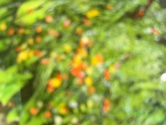 -三谷里·生态水疗空间(五一店)