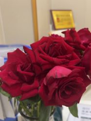 -摩瘦纤体订制减肥