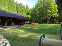 -黄海国家森林公园