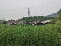 -西湖风景区-江洋畈生态公园