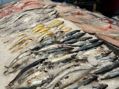 -浦江城市生活广场(江月路店)