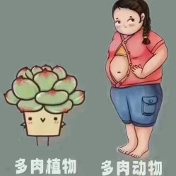 -Lily纤美·科技减脂中心