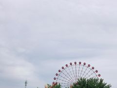 -皇家海洋乐园