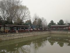 -尚庄度假村·庭台树下·户外烧烤·团建CS·轰趴营地(上庄水库店)