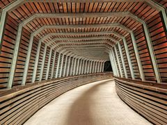 -昆山城市生态森林公园