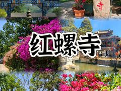 -向外鱼乐·土菜·虹鳟鱼