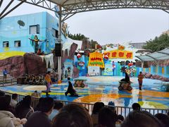 -海合安成都极地海洋公园