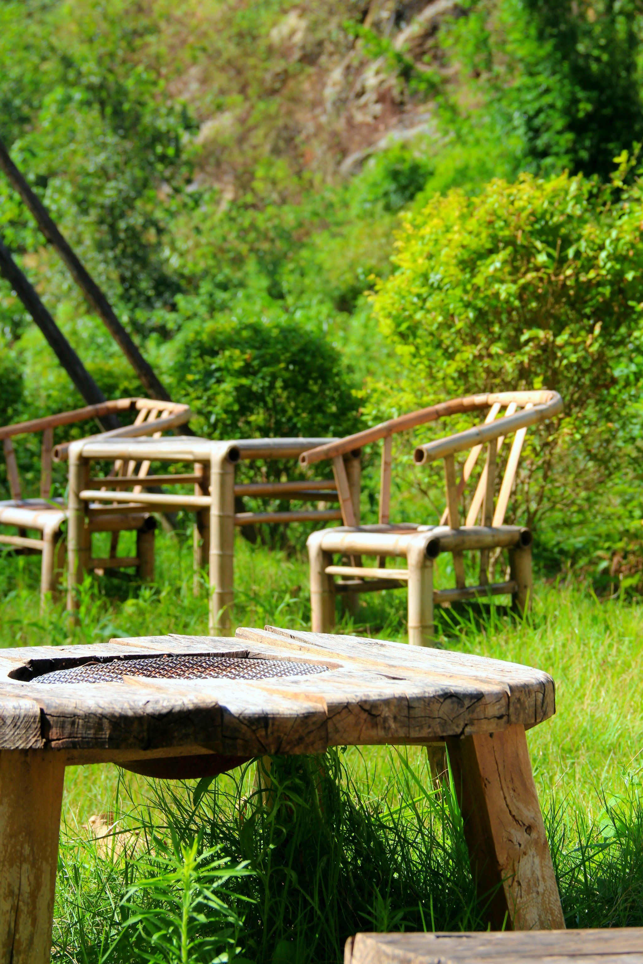 悠闲时刻,与自然对话