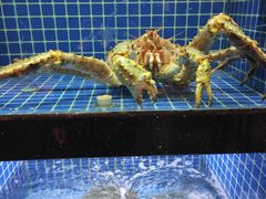 水产区-徽三说·土徽菜·中国徽菜连锁品牌(一中店)