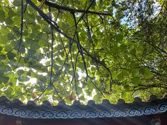 -丽江束河古镇-石莲古寺