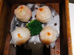 -粤点越有·茶点·粤菜(樵岭国际店)
