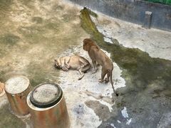 -昆明动物园