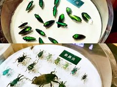 -陕西自然博物馆