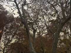 -Chanel(德基广场店)