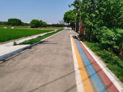 -梁鸿国家湿地公园