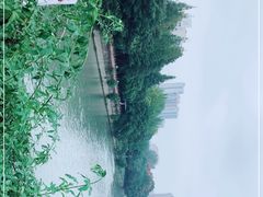 -成都市活水公园