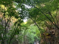 -北京上方山国家森林公园