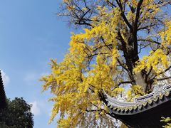 -惠山古镇·寄畅园