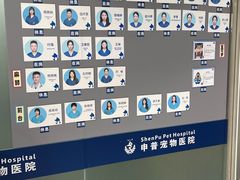 -申普宠物医院(总院)