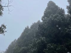 -贵州森林野生动物园