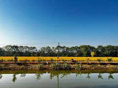 -小六农家乐(崇明西沙湿地店)