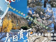 -妙峰山风景名胜区