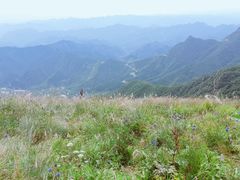 -白草畔自然风景区