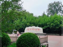 -莲花池公园