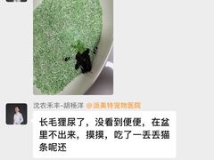 -派美特宠物医院·核磁CT·骨科肿瘤·疑难转诊(沈农禾丰店)