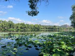 -承德避暑山庄景区
