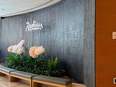 -天津水游城丽筠酒店