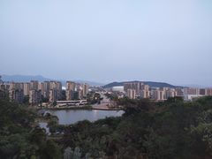 -飞凤山奥体公园
