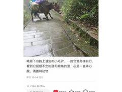 -峨眉山风景名胜区