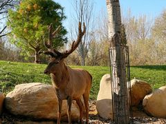 -北京野生动物园