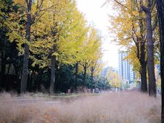 -苏州河梦清园环保主题公园