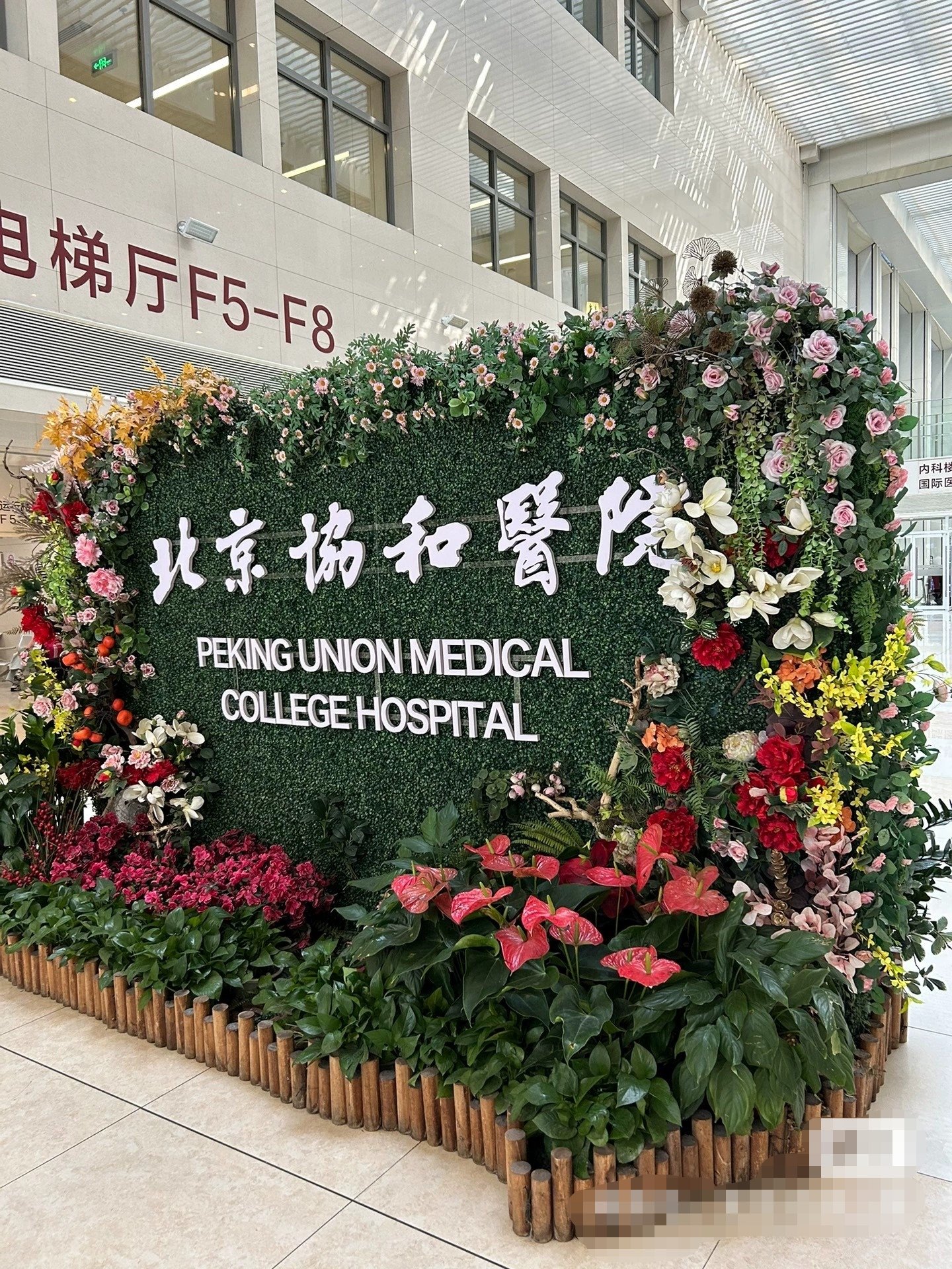 北京陪診服務順義區代掛號，一個電話，輕輕松松幫您搞定的簡單介紹