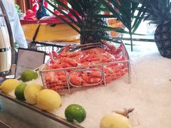 -怡聚轩全日制自助餐厅(大中华喜来登酒店)