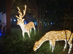 -杭州第一世界大酒店·云曼温泉