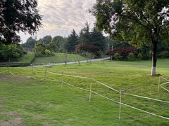 -铁山坪森林公园