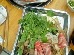 -金鼎雪山牦牛杂火锅(理县总店)