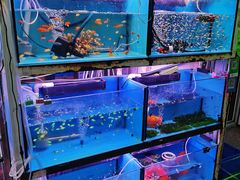 -宝鸡东道花鸟鱼虫市场(吉利花园商场店)