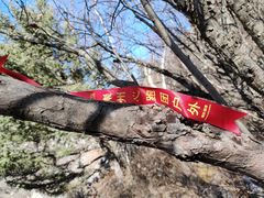 -叠溪松坪沟景区