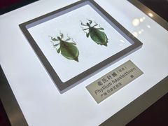 -上海昆虫博物馆