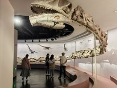 -自贡恐龙博物馆