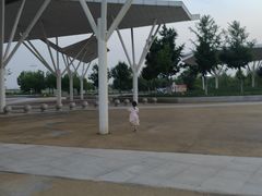 -东营园博园