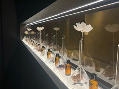 -安屿an·spa(卓悦中心商场店)